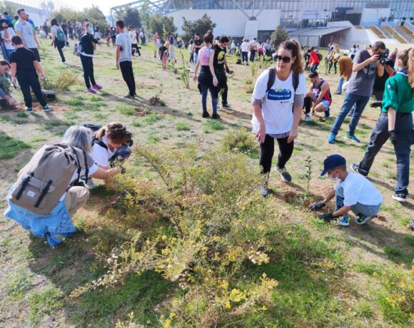 Δενδροφύτευση Δενδροφύτευση