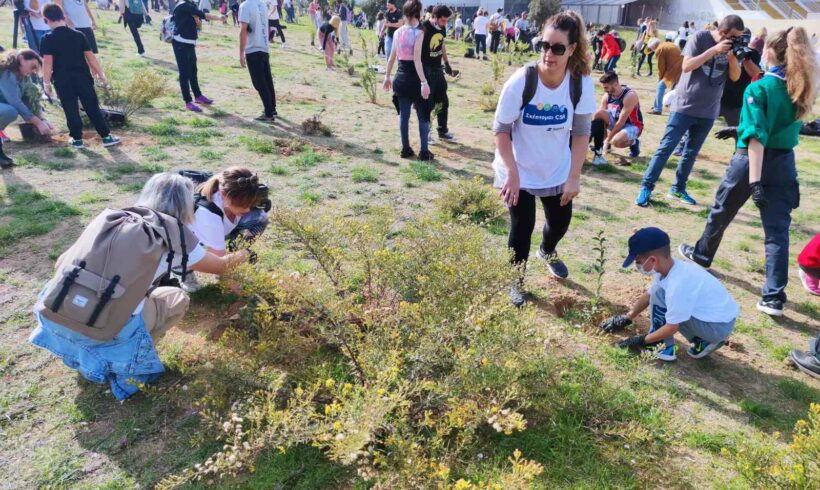 Δενδροφύτευση
