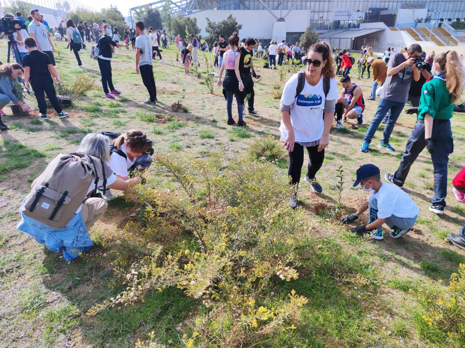 Δενδροφύτευση Δενδροφύτευση