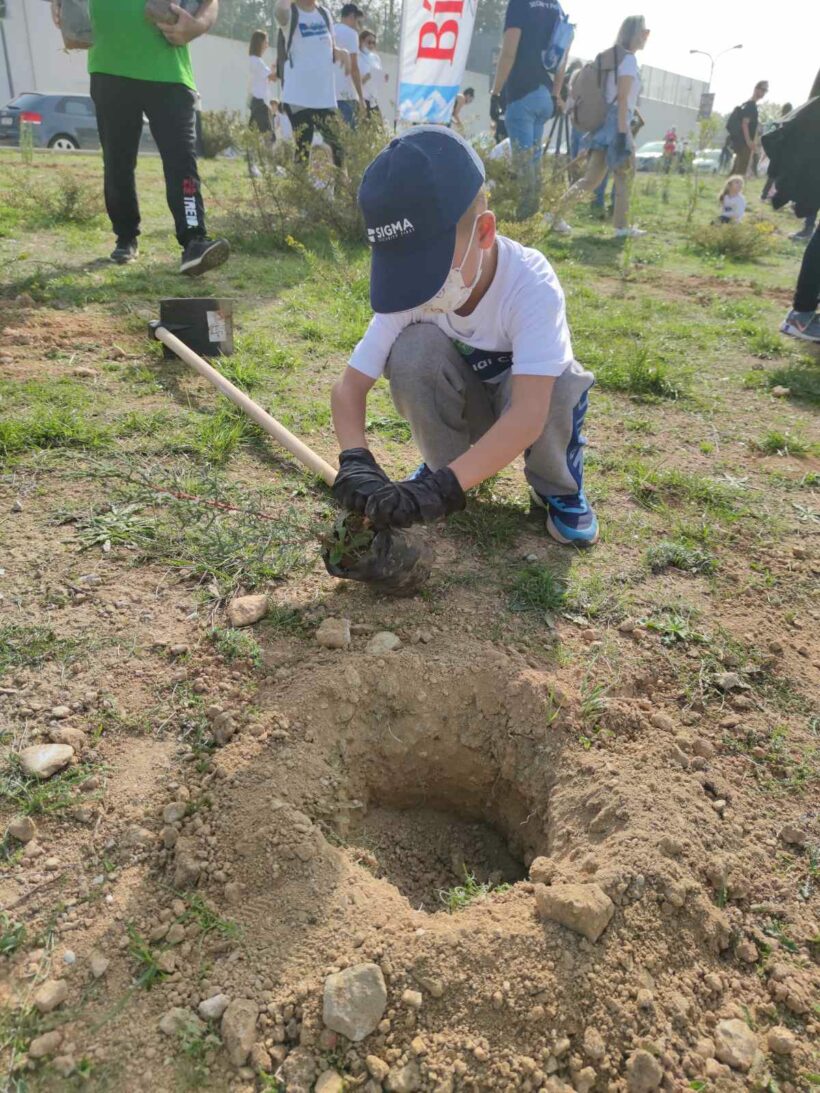 Δενδροφύτευση Δενδροφύτευση